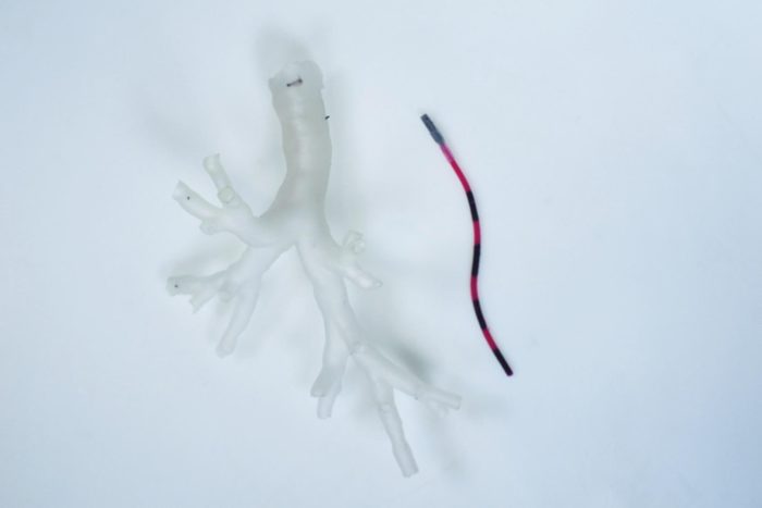 A robot small enough to explore the lungs